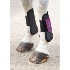 Shires ARMA Tendon Boots - Black/Plum