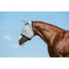 Amigo Fly Mask - Silver/Plum -Equestrian Supplies 312111 800 800