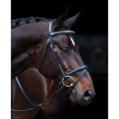 Amigo Deluxe Bridle - Black