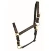 Western Rawhide Leather Horse Halter - Dark Brown -Equestrian Supplies 360484 800 800