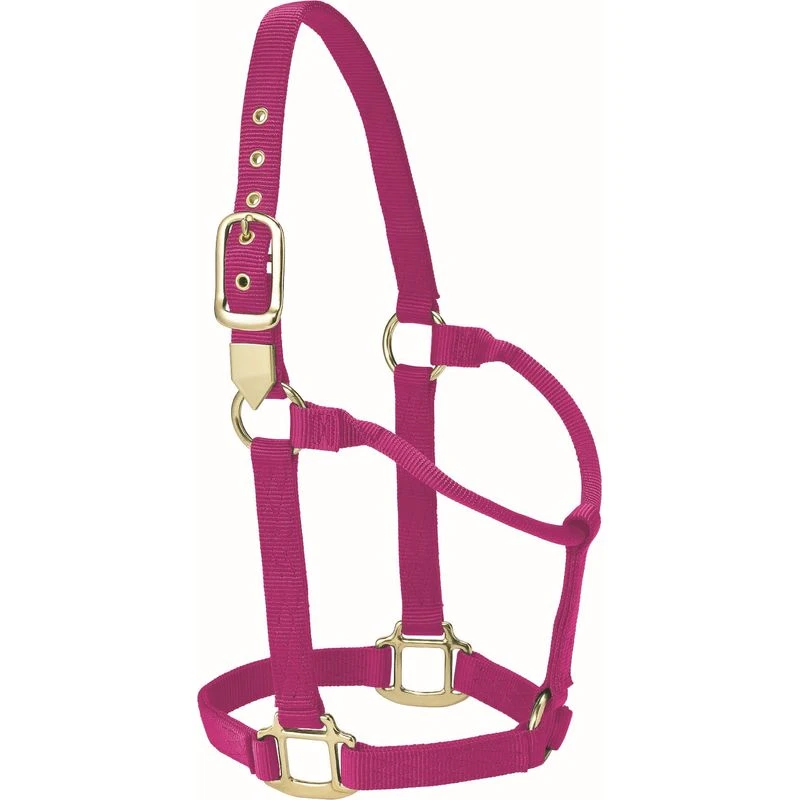 Western Rawhide Signature Classic Halter - Fuchsia 3 Western Rawhide Signature Classic Halter - Fuchsia