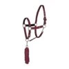 Horze Chicago Halter And Lead Rope - Wine Red/Violet Quartz Purple 1 Horze Chicago Halter And Lead Rope - Wine Red/Violet Quartz Purple -Equestrian Supplies 386832 800 800
