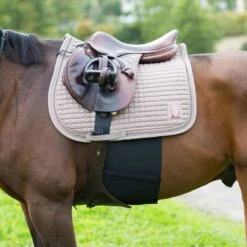 Horze Elastic Belly Guard - Black -Equestrian Supplies 387350 800 800