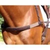 Nunn Finer Jumper Breastplate - Havana/Brass -Equestrian Supplies 400271 800 800