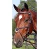 Nunn Finer Figure 8 Clincher Browband Padded Event Bridle - Havana/Zinc -Equestrian Supplies 400373 800 800