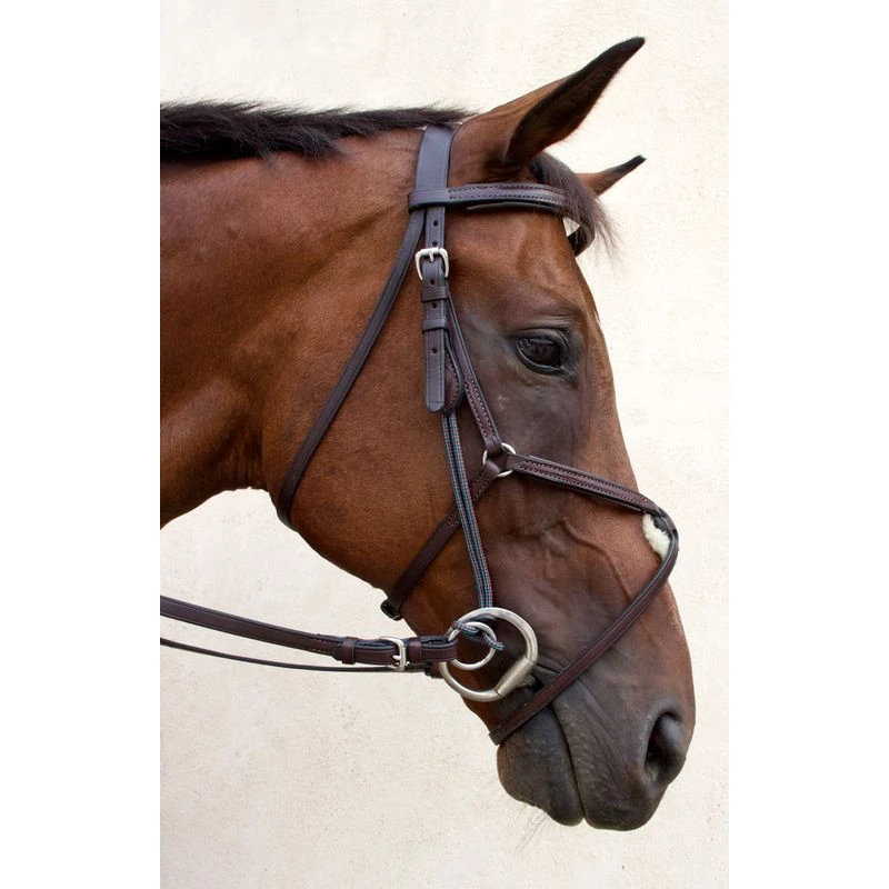 Nunn Finer Gag Cheeks - Havana 3 Nunn Finer Gag Cheeks - Havana