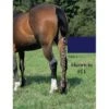 Jammies Three Piece Tail Wrap - Navy -Equestrian Supplies 402226 800 800