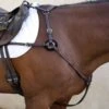 Nunn Finer 5-Way Hunting Breastplate With Elastic - Havana/Brass -Equestrian Supplies 405448 800 800