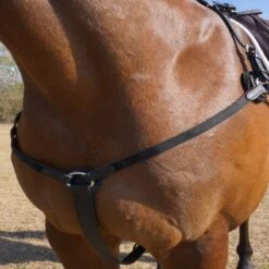 Nunn Finer 5-Way Hunting Breastplate With Elastic - Havana/Brass -Equestrian Supplies 405451 800 800