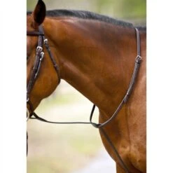 Nunn Finer Standing Martingale - Havana/Zinc -Equestrian Supplies 406808 800 800
