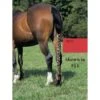 Jammies Three Piece Tail Wrap - Red 1 Jammies Three Piece Tail Wrap - Red -Equestrian Supplies 408118 800 800