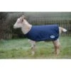 Weatherbeeta Goat Coat - Navy -Equestrian Supplies 413287 800 800