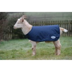 Weatherbeeta Goat Coat - Navy