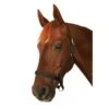 Roma Everyday Headcollar - Black -Equestrian Supplies 417888 800 800