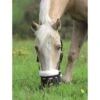 Shires Deluxe Comfort Grazing Muzzle - Black 1 Shires Deluxe Comfort Grazing Muzzle - Black -Equestrian Supplies 419576 800 800