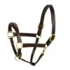 Aramas Fancy Raised Z Shaped Padded Halter - Chocolate 1 Aramas Fancy Raised Z Shaped Padded Halter - Chocolate -Equestrian Supplies 422112 800 800