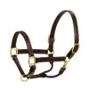 Harmohn Kraft 1" Triple Stitch Halter - Oakbark -Equestrian Supplies 422243 800 800