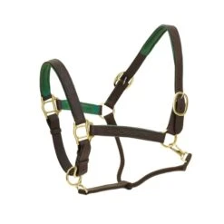 Ovation Richtan Luxury Padded Halter - Brown/Hunter