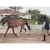 Pessoa Lunging System - Natural 2 Pessoa Lunging System - Natural -Equestrian Supplies 437696 800 800