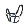 Ovation Luxor Cushion-Flex Halter - Black/Rosegold -Equestrian Supplies 439125 800 800