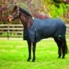 Saxon 1200D W/Gusset Standard Neck Heavy II - Black/Black -Equestrian Supplies 441532 800 800