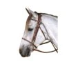Kincade Chambon - Brown -Equestrian Supplies 442724 800 800
