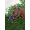 Saxon Fleece Lined Ribbon Headcollar - Navy/Blue -Equestrian Supplies 443105 800 800