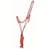 Western Rawhide 1/4" Fashion Check Rope Halterw/Lead - Red/Black -Equestrian Supplies 443788 800 800