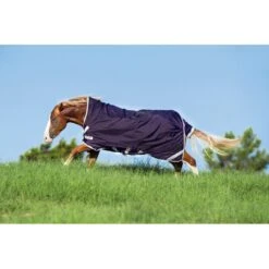 Rambo Wug Turnout 0g - Dark Purple/Silver -Equestrian Supplies 444867 800 800