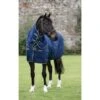 Rambo Deluxe Stable Plus 200g - Navy/Champagne/Navy -Equestrian Supplies 445108 800 800