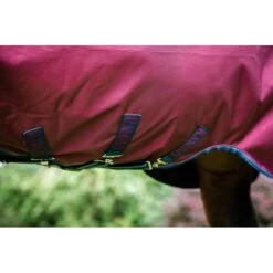 Rambo Original Turnout W/Leg Arches 0g - Burgundy/Burgundy/Teal/Navy -Equestrian Supplies 446539 800 800