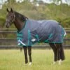 Weatherbeeta Comfitec Plus Dynamic II Standard Neck Medium - Black/Aqua -Equestrian Supplies 448305 800 800