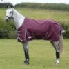 Weatherbeeta Comfitec Plus Dynamic II Standard Neck Medium - Maroon/Grey/White -Equestrian Supplies 448376 800 800