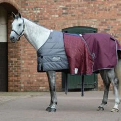 Weatherbeeta Comfitec Plus Dynamic II Standard Neck Medium - Maroon/Grey/White -Equestrian Supplies 448378 800 800
