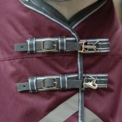 Weatherbeeta Comfitec Plus Dynamic II Standard Neck Medium - Maroon/Grey/White -Equestrian Supplies 448379 800 800