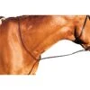 Kincade Flat Standing Martingale II - Brown
