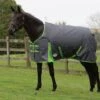 Weatherbeeta Comfitec Essential Standard Neck Heavy - Grey/Lime -Equestrian Supplies 470427 800 800