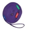 Kincade Two Tone Lunge Line With Circle Markers - Purple/Black -Equestrian Supplies 474511 800 800