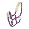 Horze Lunging Cavesson - Purple 1 Horze Lunging Cavesson - Purple -Equestrian Supplies 479705 800 800