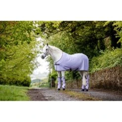 Amigo Ripstop Travel Boots - Lavender/Plum/Silver -Equestrian Supplies 485027 800 800