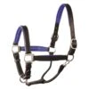 Perri's 1" Padded Leather Halter - Black/Blue 1 Perri's 1" Padded Leather Halter - Black/Blue -Equestrian Supplies 500357 800 800