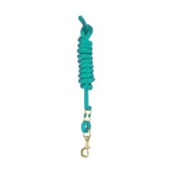Perri's 5/8" Nylon Lead W/Snap - Teal