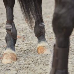 Horze Adepto Fetlock Boots - Dark Brown 8 Horze Adepto Fetlock Boots - Dark Brown -Equestrian Supplies 532784 800 800