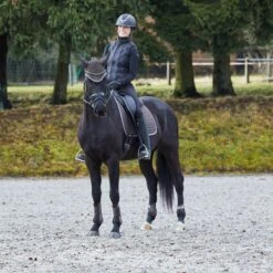 Horze Adepto Fetlock Boots - Dark Brown 9 Horze Adepto Fetlock Boots - Dark Brown -Equestrian Supplies 532785 800 800