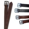 Passport 1" Stirrup Leathers - Black -Equestrian Supplies 545791 800 800