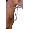 Passport Plain Raised Running Martingale - Mahogany -Equestrian Supplies 546020 800 800