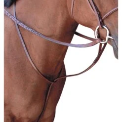 Passport Square Raised Standing Martingale - Mahogany
