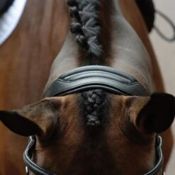 Collegiate Comfitec Vogue Anatomical Bridle - Black -Equestrian Supplies 553323 800 800