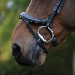 Collegiate Comfitec Vogue Anatomical Bridle - Black -Equestrian Supplies 553324 800 800