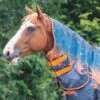 Shires Tempest Original 200 Neck Cover - Winter Sunset -Equestrian Supplies 553512 800 800